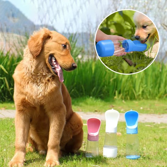 Gourde chien 2 en 1 3 couleurs