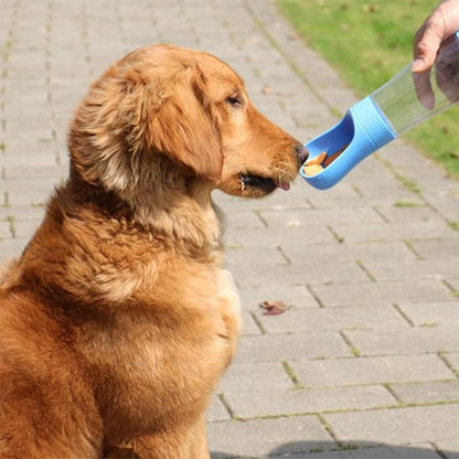 Gourde chien 2 en 1 assie