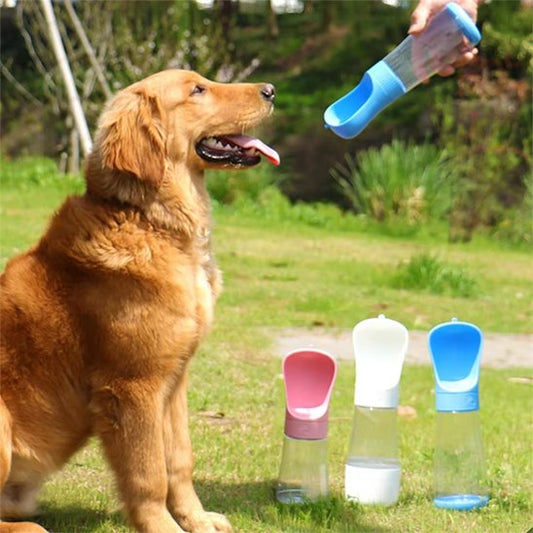 Gourde chien 2 en 1 bleu