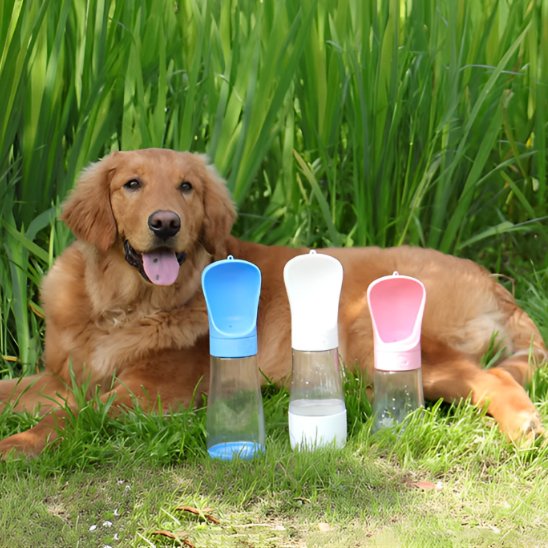 Gourde chien 2 en 1 couché 3 couleurs