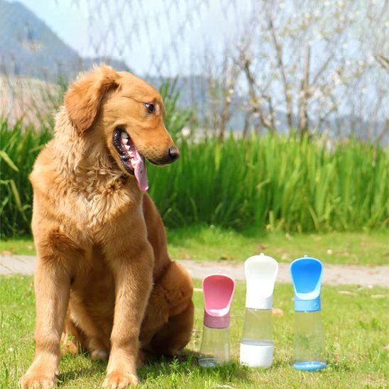 Gourde chien 2 en 1 regarde 3 couleurs