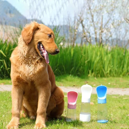 Gourde chien 2 en 1 regarde 3 couleurs