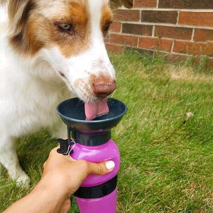 Gourde pour chien​ Tasboir boire 