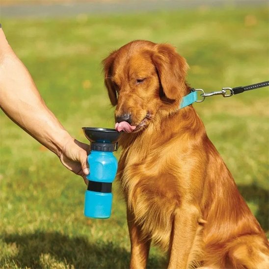 Gourde pour chien​ Tasboir parc