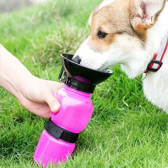 Gourde pour chien​ Tasboir rose