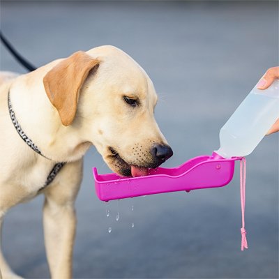 Gourde pour Chiens Tasvoy rose