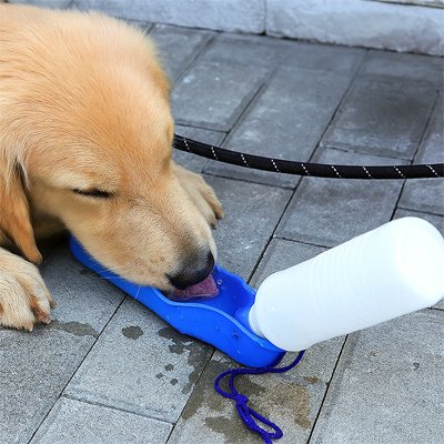 Gourde pour Chiens Tasvoy sol
