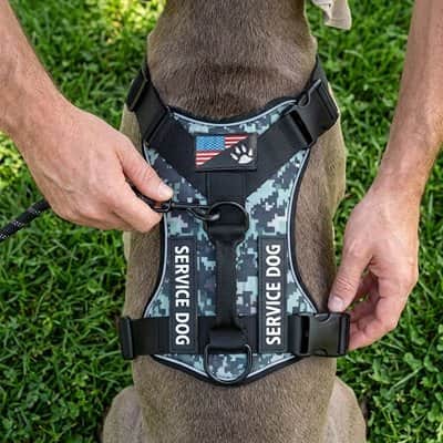Harnais chien anti-fuite vert armé
