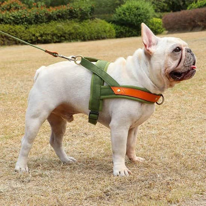 Harnais Chien anti traction Giletr brun