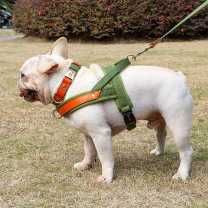 Harnais Chien anti traction Giletr parc