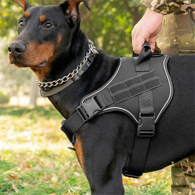 Harnais chien noir proche