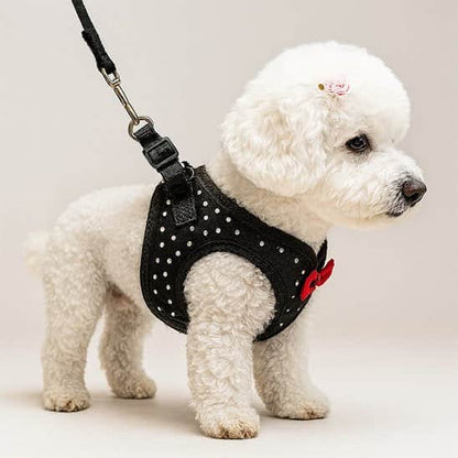 Harnais petit chien élégant laisse