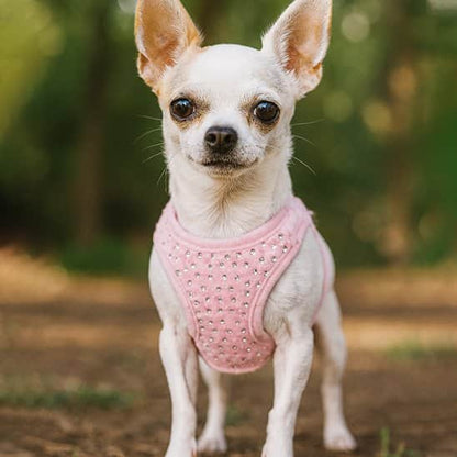 Harnais petit chien élégant rose