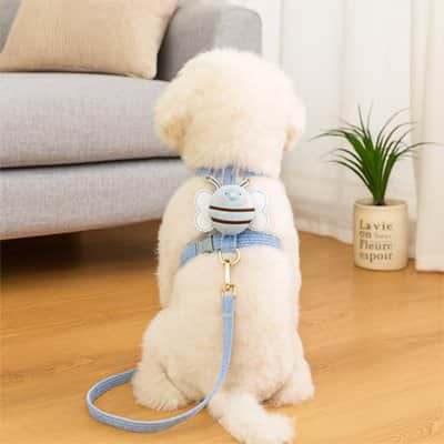 Harnais pour Chien abeille bleu