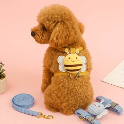 Harnais pour Chien abeille caniche