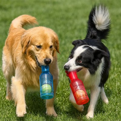 Jouet Chien Bbière 2 couleurs