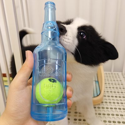 Jouet Chien Bbière bleu
