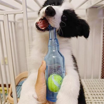 Jouet Chien Bbière chiot bleu