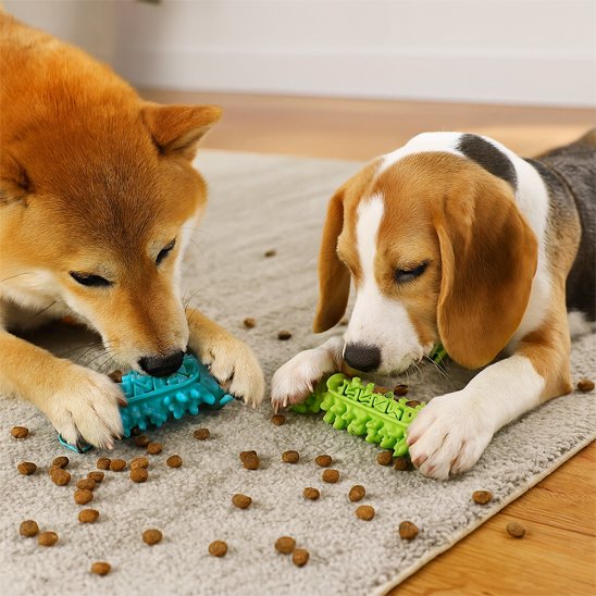 Jouet pour chien Brosdent 2 chiens