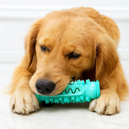 Jouet pour chien Brosdent bleu