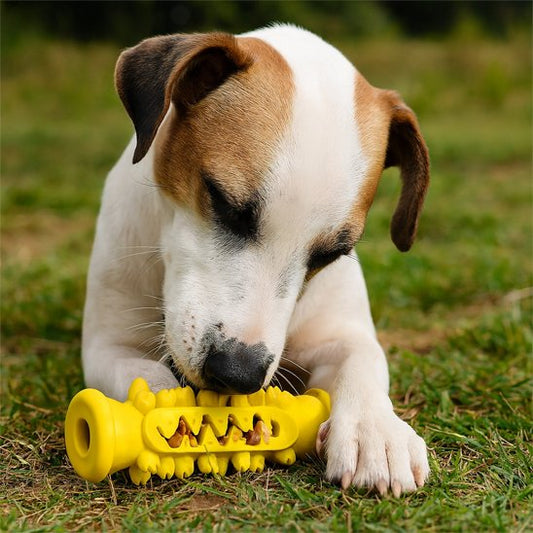 Jouet pour chien Brosdent jaune