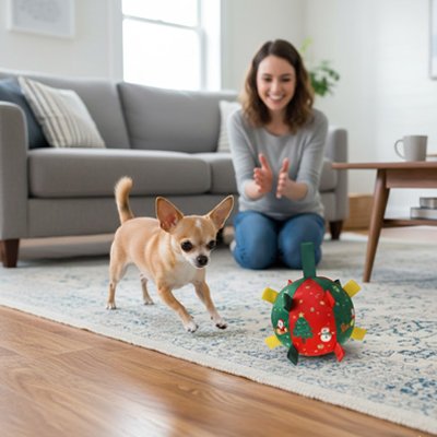 Jouet pour chien​ Fêtes noël