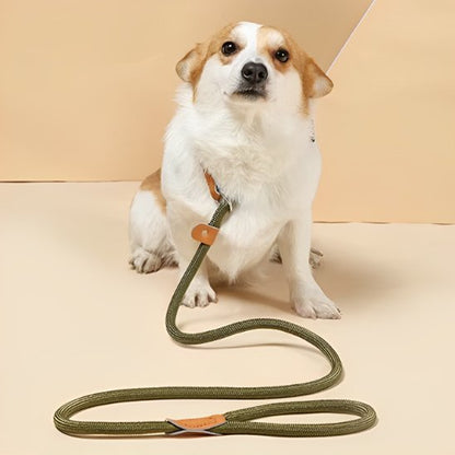 Laisse chien bouclereg petit