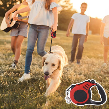 Laisse chien longe enroulable rouge labrador