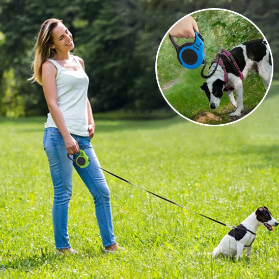 Laisse chien longe enroulable vert rond bleu