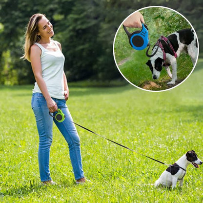 Laisse chien longe enroulable vert rond bleu