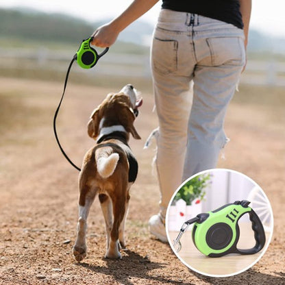 Laisse chien longe enroulable vert rond vert