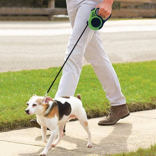 Laisse chien longe enroulable vert