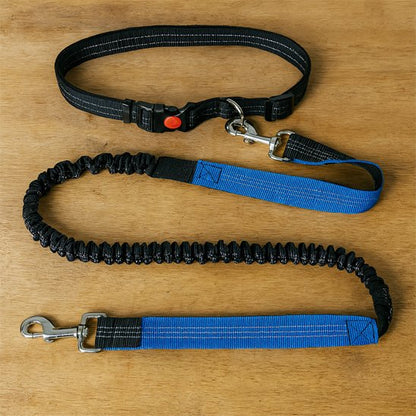 Laisse chien main libre Marcoursjog bleu