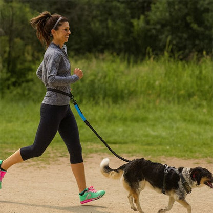 Laisse chien main libre Marcoursjog course bleu