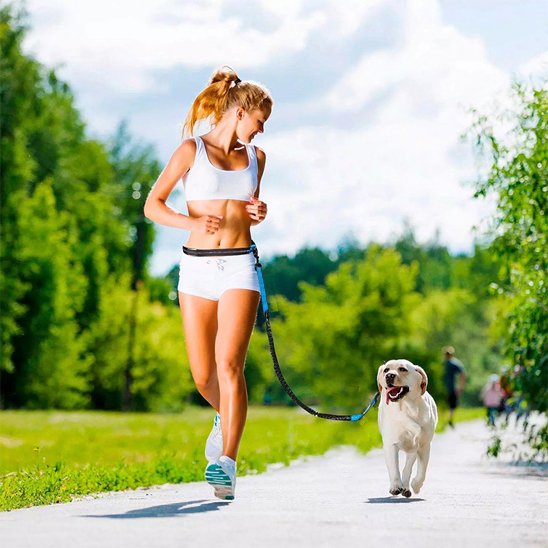 Laisse chien main libre Marcoursjog Jog bleu