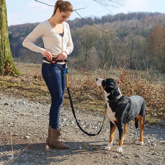 Laisse chien main libre Marcoursjog marche orange