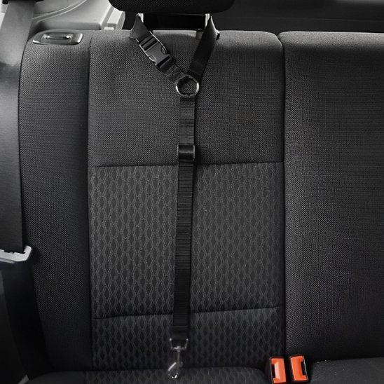 Laisse chien voiture noir
