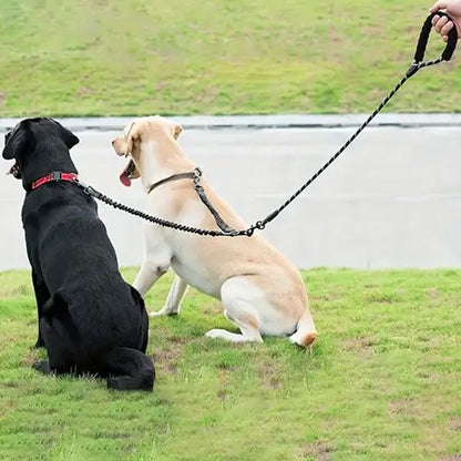 Laisse double pour chien SystY assie arrière
