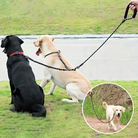Laisse double pour chien SystY labrador noir