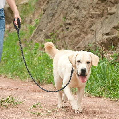 Laisse double pour chien SystY labrador