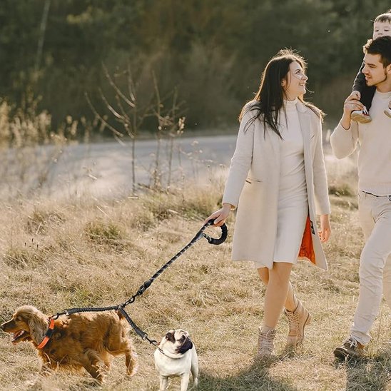 Laisse double pour chien SystY promenade maîtres
