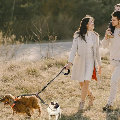 Laisse double pour chien SystY promenade maîtres