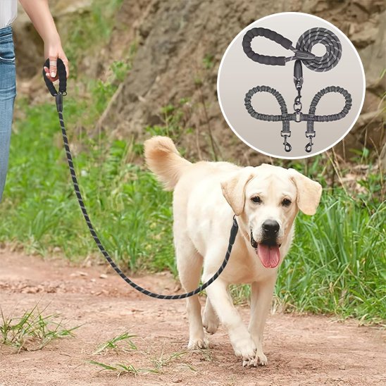 Laisse double pour chien SystY promenade noir