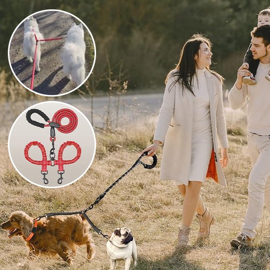 Laisse double pour chien SystY rouge