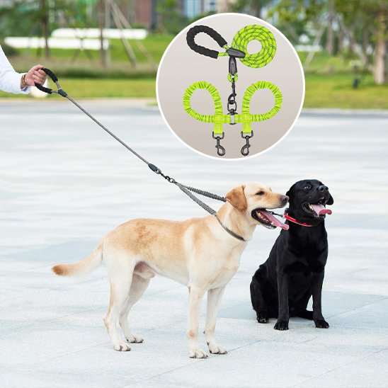Laisse double pour chien SystY vert