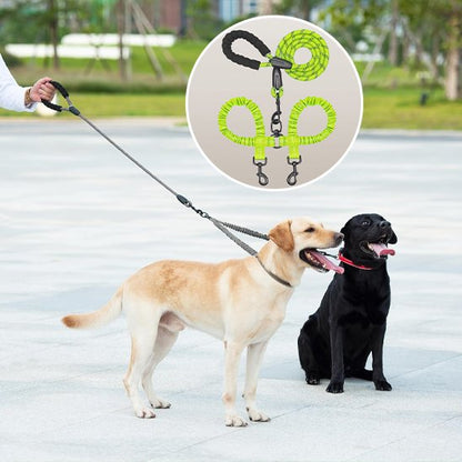 Laisse double pour chien SystY vert