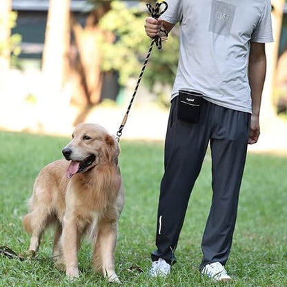 Laisse longe chien cordcont noir golden