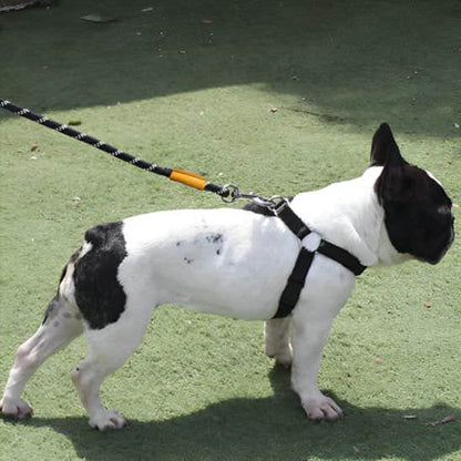 Laisse longe chien cordcont noir