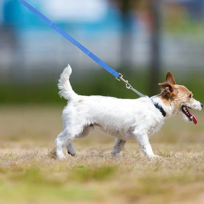 Laisse longe pour chien Nylon bleu