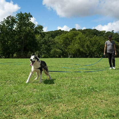Laisse longe pour chien PVC noir